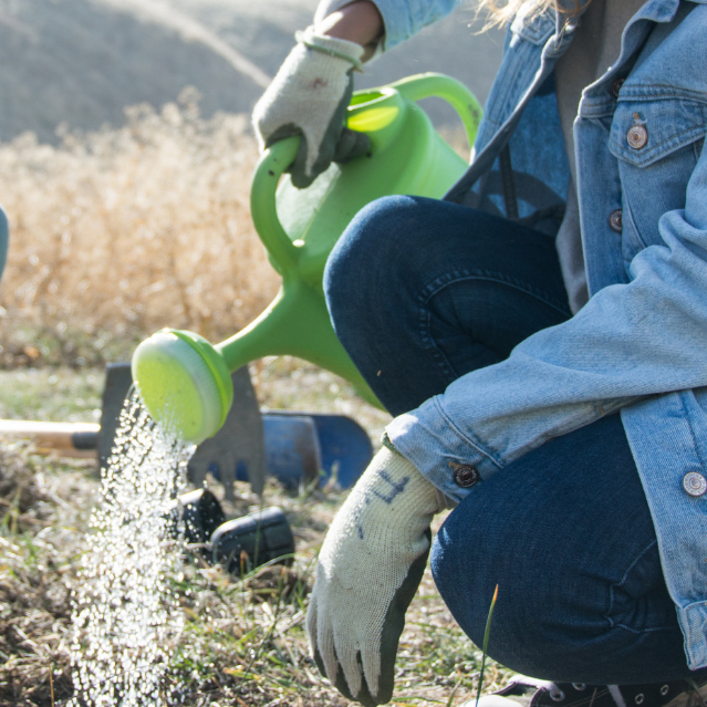 Volunteer Day: Watering in Canyon - logo